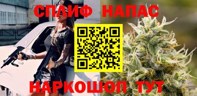 apvp Пугачёв