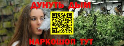 МДПВ Пушкино