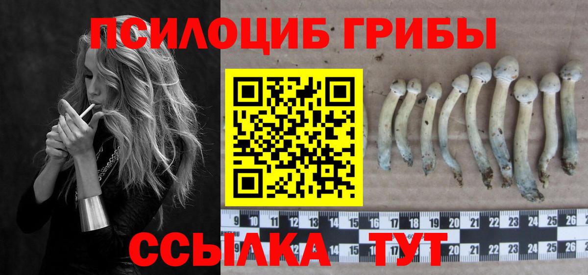 Галлюциногенные грибы Magic Shrooms  где купить   Родники  Псилоцибиновые грибы Psilocybe  Вход с VPN 