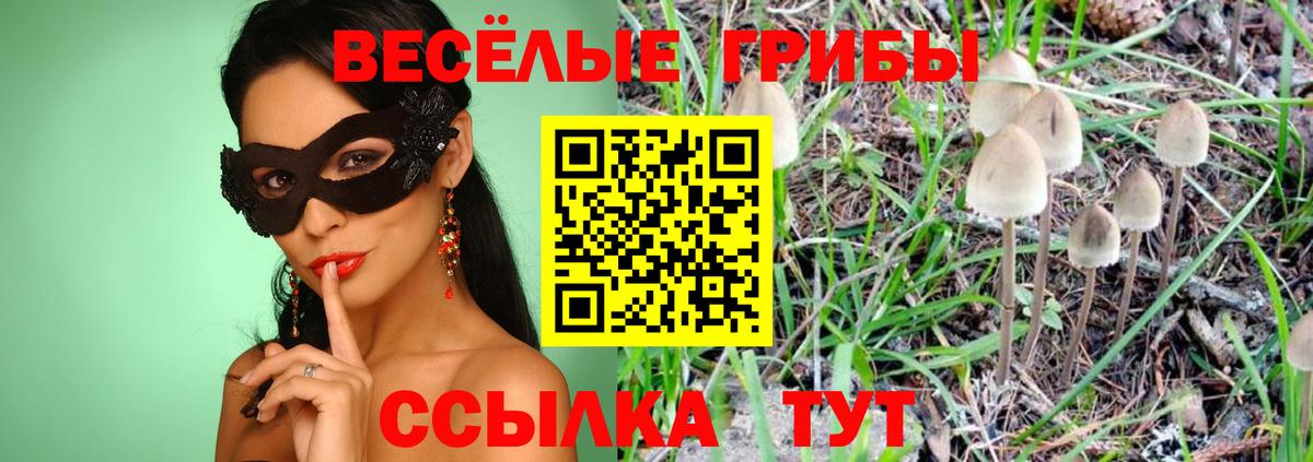 Псилоцибиновые грибы прущие грибы Родники